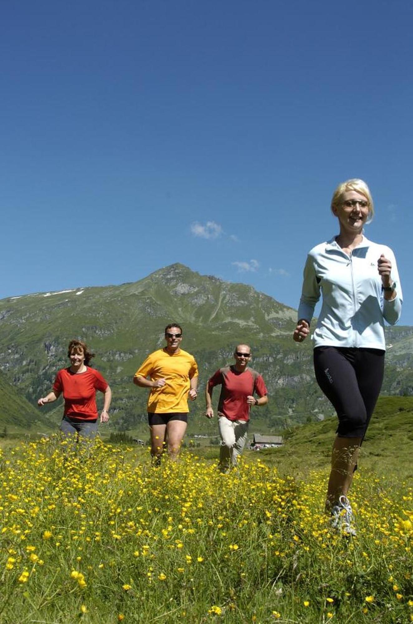 Ferienhaus Schiwiese Mit Freiem Eintritt In Die Alpentherme & Freie Nutzung Der Gasteiner Bergbahnen Im Sommer 2025 Bad Hofgastein Eksteriør billede